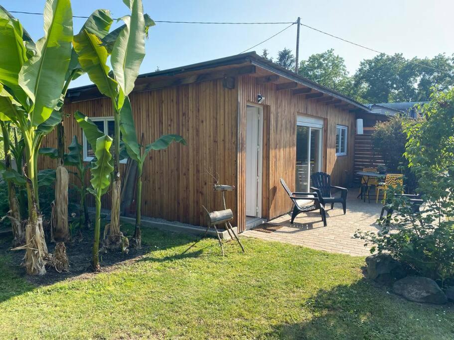 Gite Vogelau Schiltigheim Exterior photo